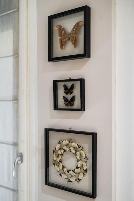 Casa Delle Farfalle Bologna Eksteriør billede